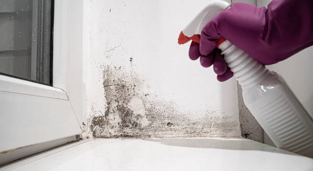 Water damage restoration insurance claims